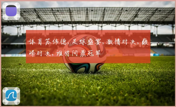 体育苏伟德,足球盛宴,激情对决,巅峰对决,谁将问鼎冠军
