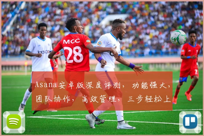 Asana安卓版深度评测，功能强大，团队协作，高效管理，三步轻松上手，体验工作新境界