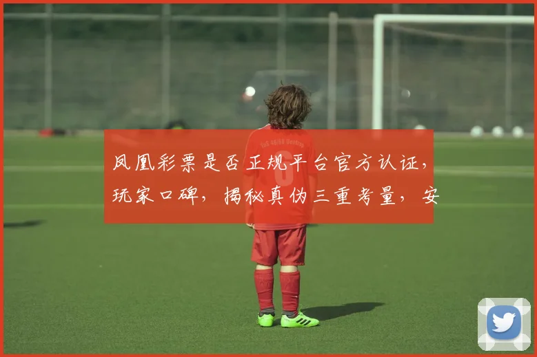 凤凰彩票是否正规平台官方认证，玩家口碑，揭秘真伪三重考量，安全可靠吗